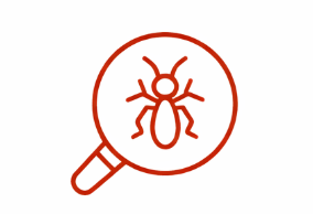 fire ants identification