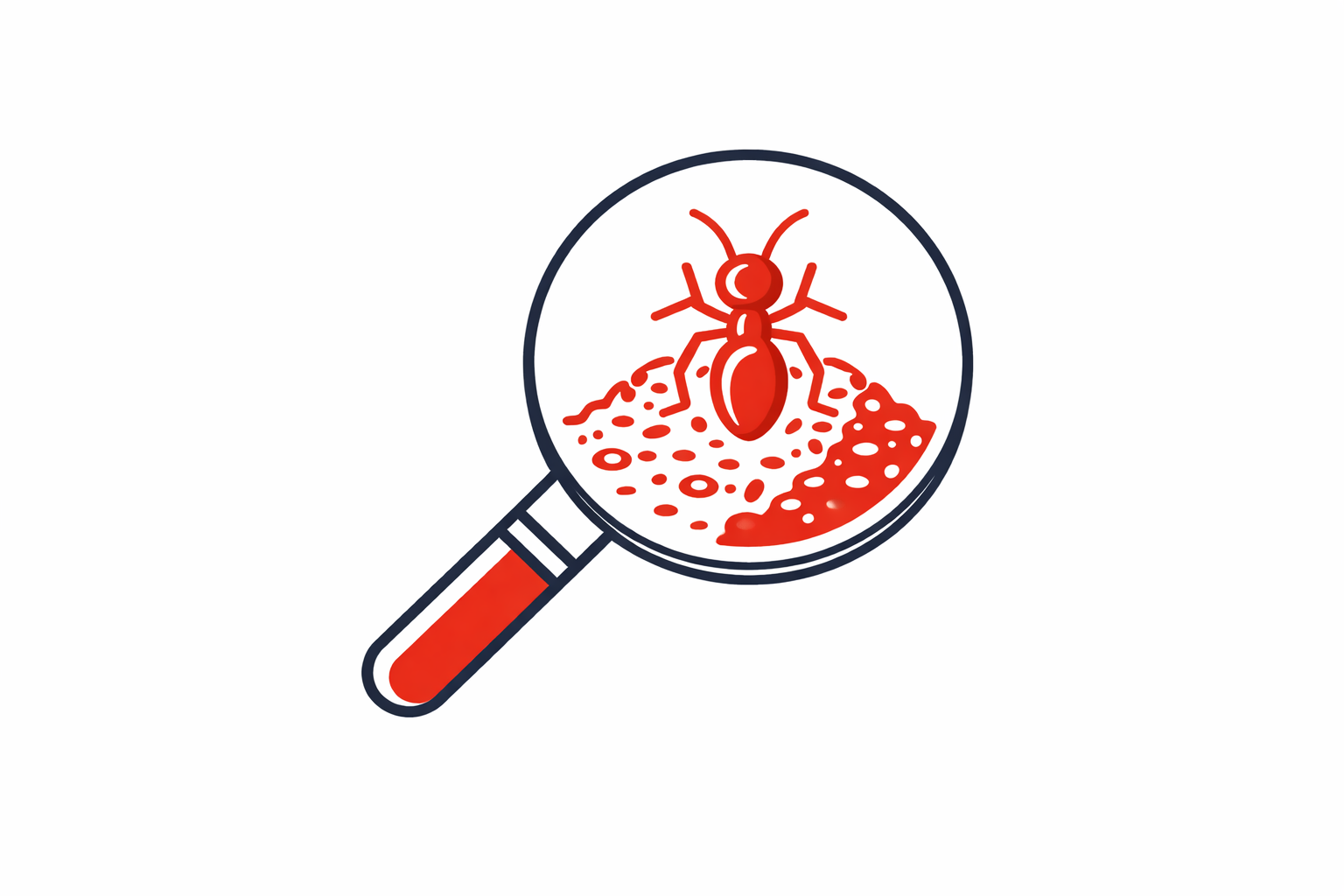 fire ant identification