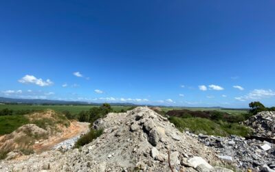 Fire Ants in Brisbane: 2026 Biosecurity Updates Every Resident Should Know